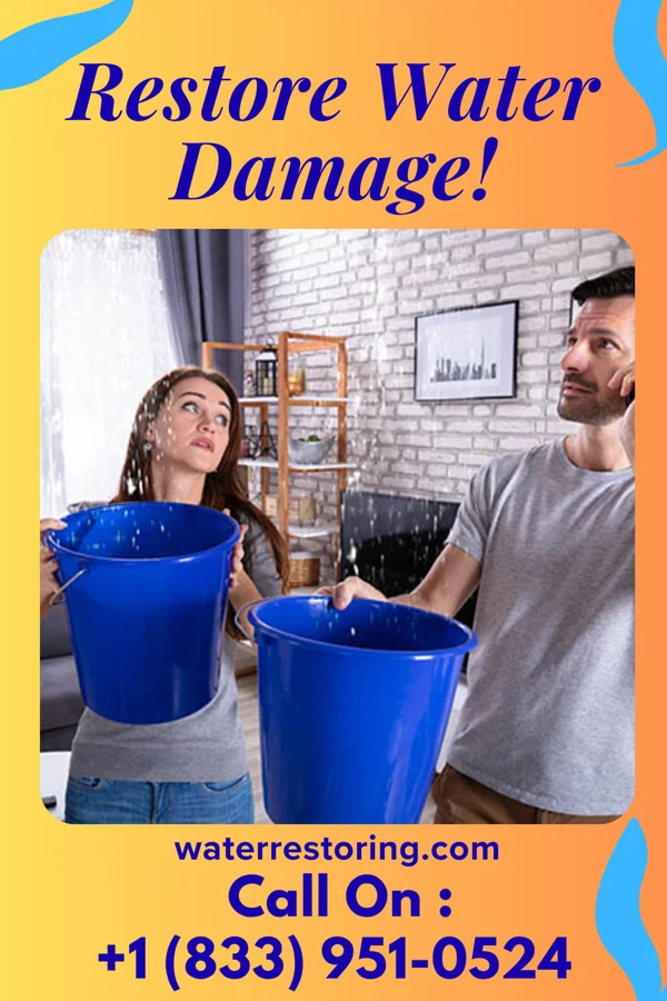 water restoration United Disaster Cleanup Network Zephyrhills North