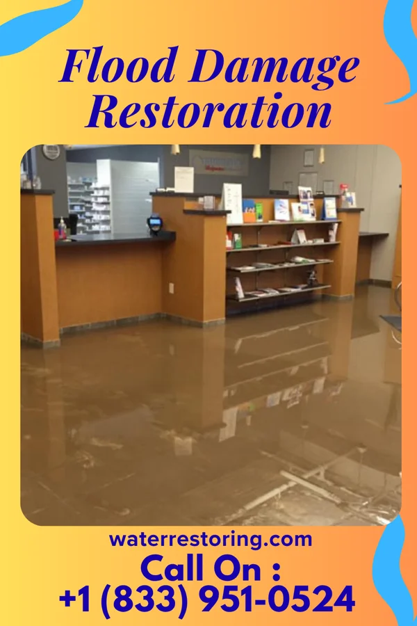 Flood Damage Restoration in Zephyrhills North, FL