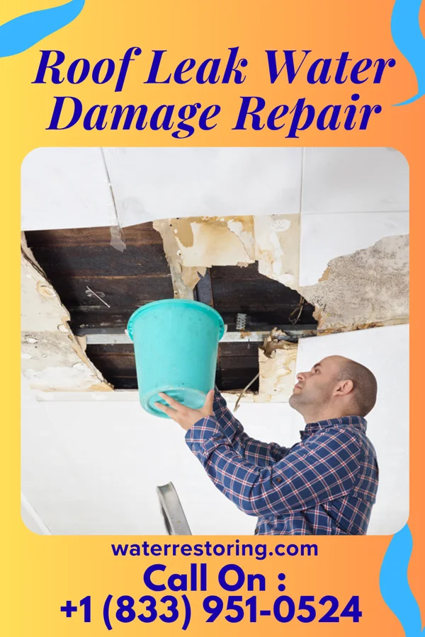 Roof Leak Water Damage Repair in Zephyrhills North, FL