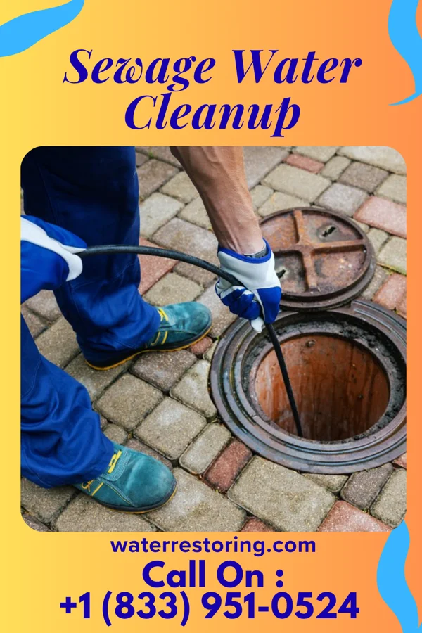 Sewage Water Cleanup in Zephyrhills North, FL